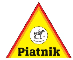 Piatnik